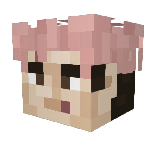 samisssocool Minecraft avatar head, 3D render