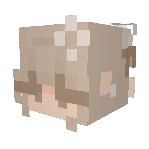 samjam69 Minecraft avatar head, 3D render