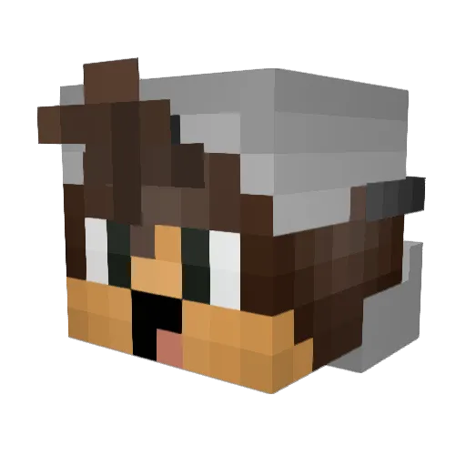 samkillnoob Minecraft avatar head, 3D render