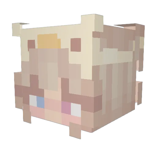 samkng Minecraft avatar head, 3D render