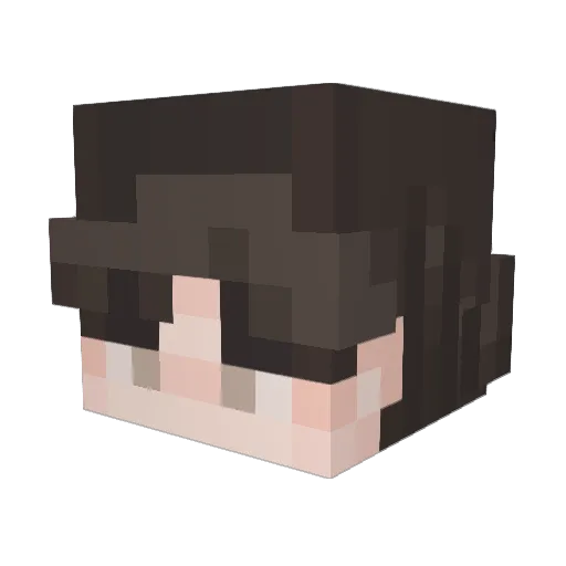 samleey Minecraft avatar head, 3D render