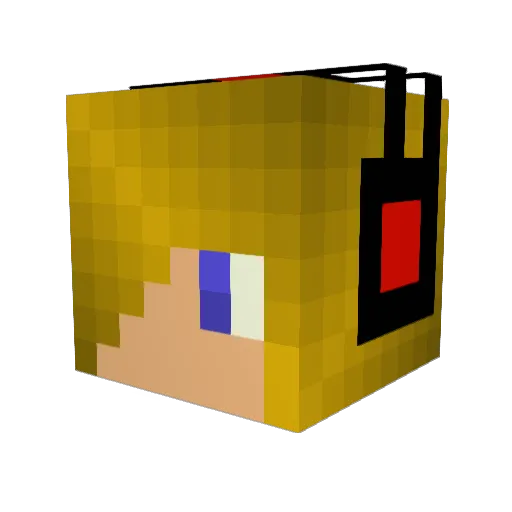 samlloyd10 Minecraft avatar head, 3D render