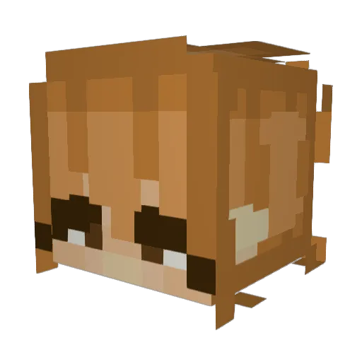 samlr_ Minecraft avatar head, 3D render