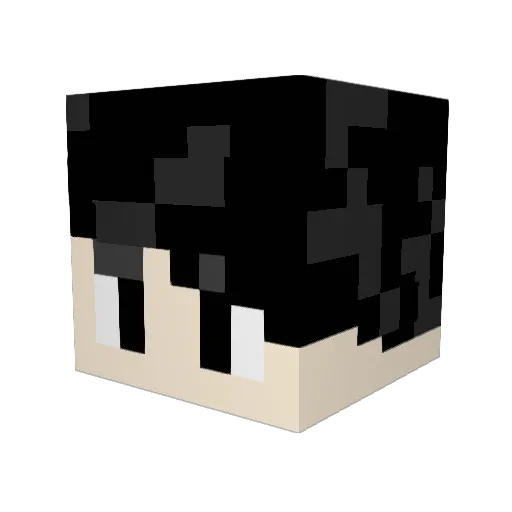 sammaspazz Minecraft avatar head, 3D render