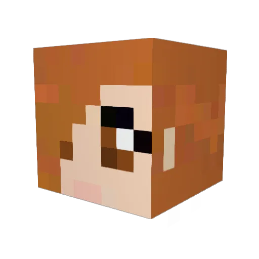 sammich98 Minecraft avatar head, 3D render