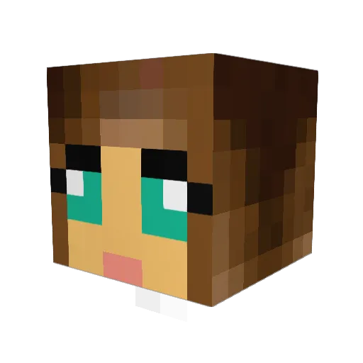 sammiclem Minecraft avatar head, 3D render
