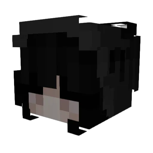 sammmm19 Minecraft avatar head, 3D render