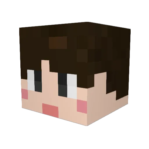 sammy1665 Minecraft avatar head, 3D render