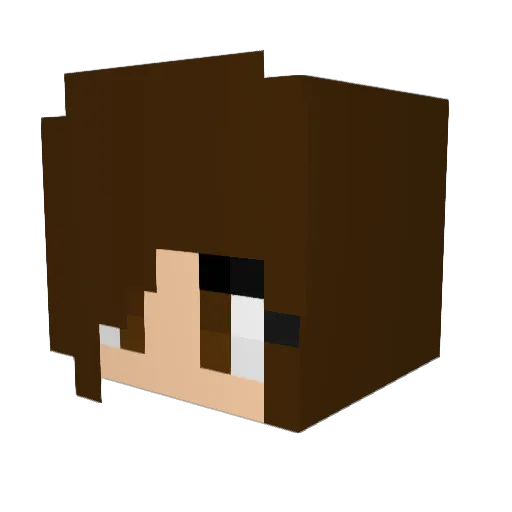 sammy_KITTY799 Minecraft avatar head, 3D render