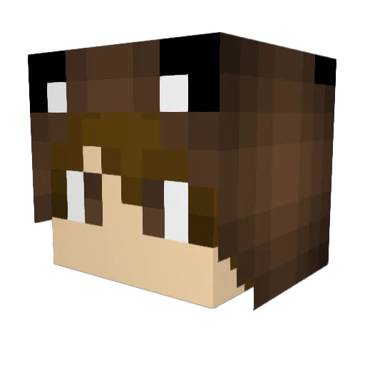sammybob5 Minecraft avatar head, 3D render