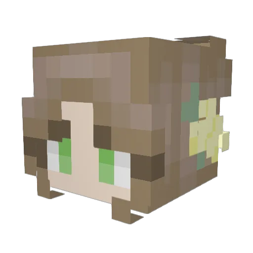sammycakes9 Minecraft avatar head, 3D render