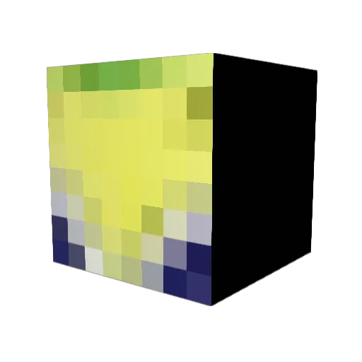 sammyseal999 Minecraft avatar head, 3D render