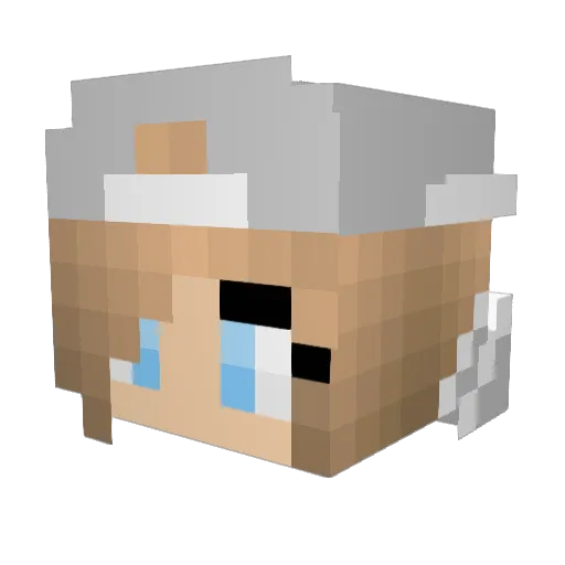 sammystjohn Minecraft avatar head, 3D render