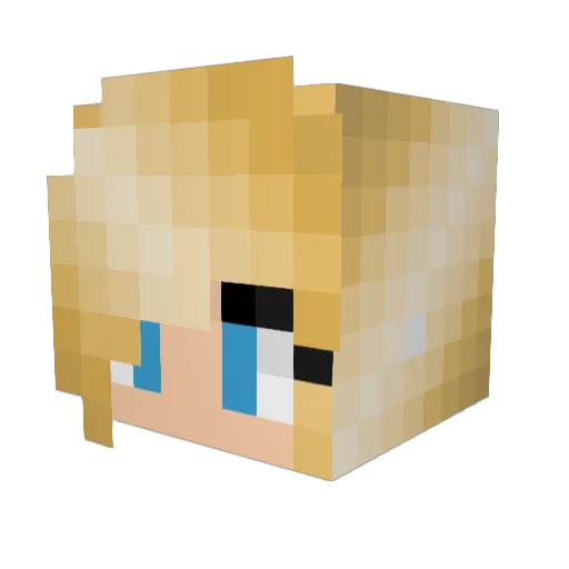 sammyto8 Minecraft avatar head, 3D render