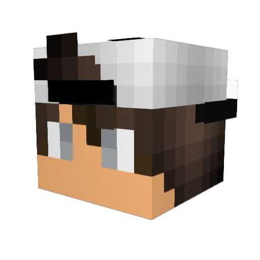 samoanllama Minecraft avatar head, 3D render