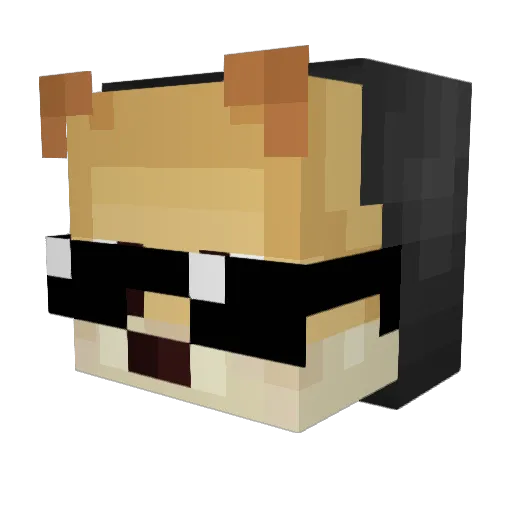 sampam12345 Minecraft avatar head, 3D render