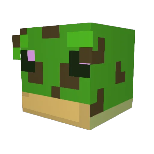 samshanne Minecraft avatar head, 3D render