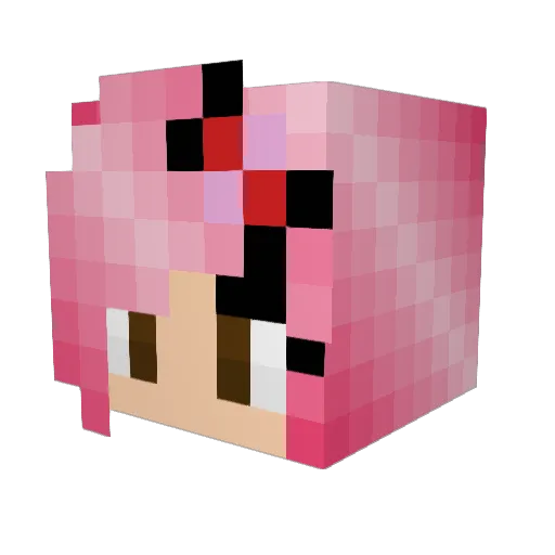 samsonite2014 Minecraft avatar head, 3D render