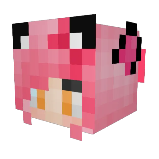 samspuppydogeyes Minecraft avatar head, 3D render