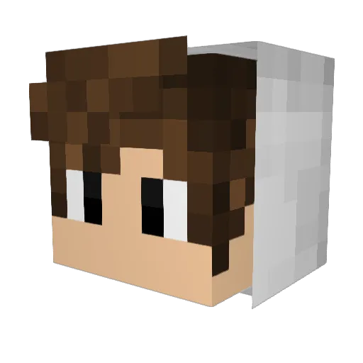 samster2002 Minecraft avatar head, 3D render