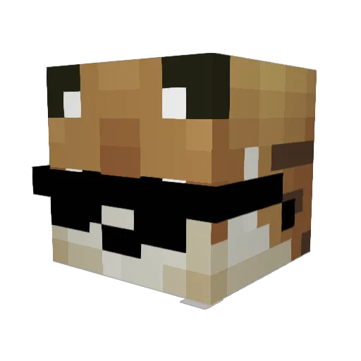 samtayllor Minecraft avatar head, 3D render