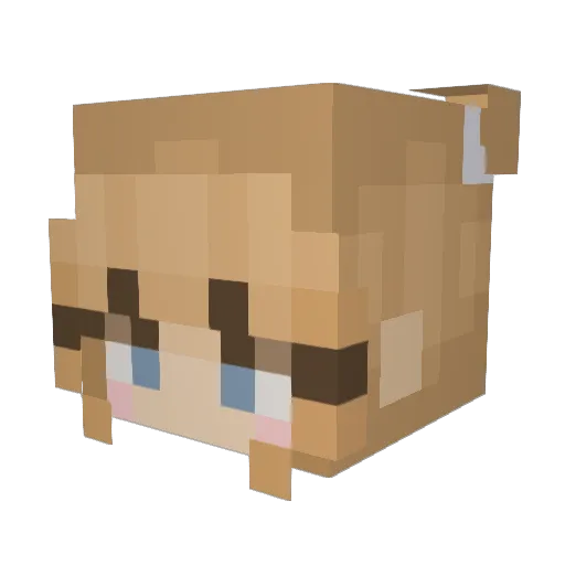 samtherandomgirl Minecraft avatar head, 3D render