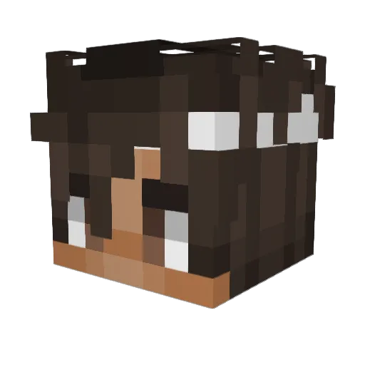 samu_gamer Minecraft avatar head, 3D render