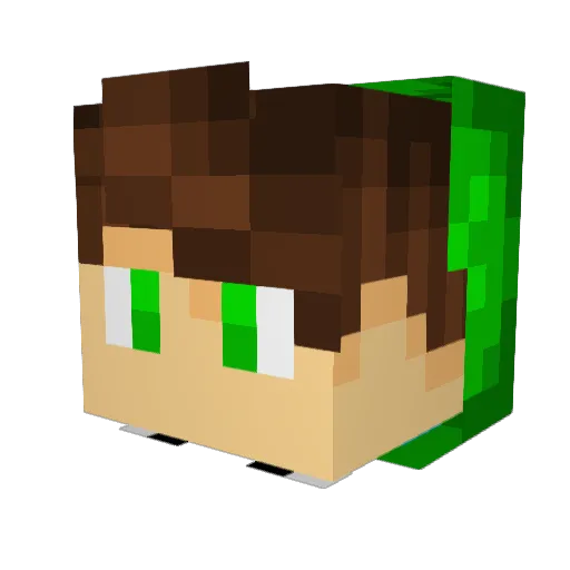 samuelillo24 Minecraft avatar head, 3D render