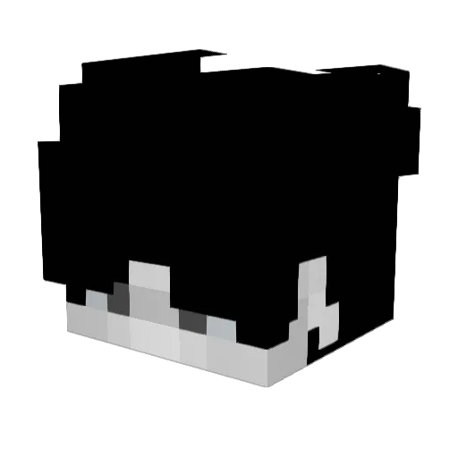 samuellllllP Minecraft avatar head, 3D render