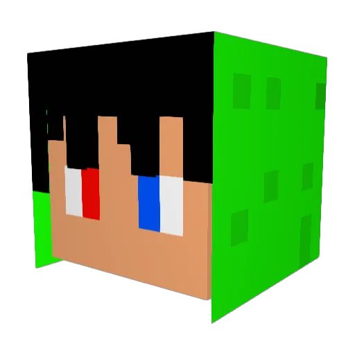 samugamer110 Minecraft avatar head, 3D render