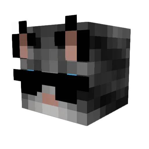 samugames_ex Minecraft avatar head, 3D render