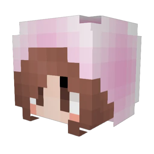 samurai735920 Minecraft avatar head, 3D render