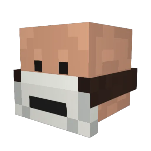 samuraiswag Minecraft avatar head, 3D render
