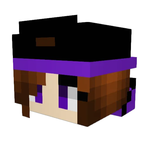 samwyze710 Minecraft avatar head, 3D render