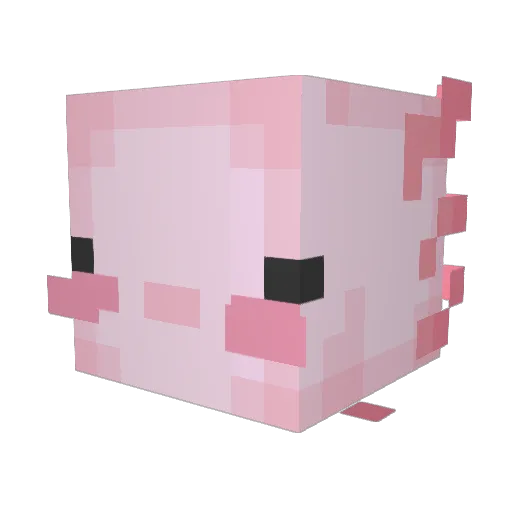 samy23023 Minecraft avatar head, 3D render
