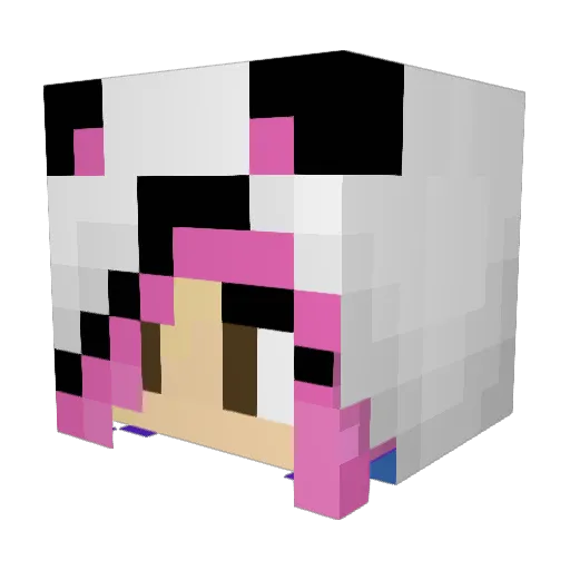 samy2306 Minecraft avatar head, 3D render