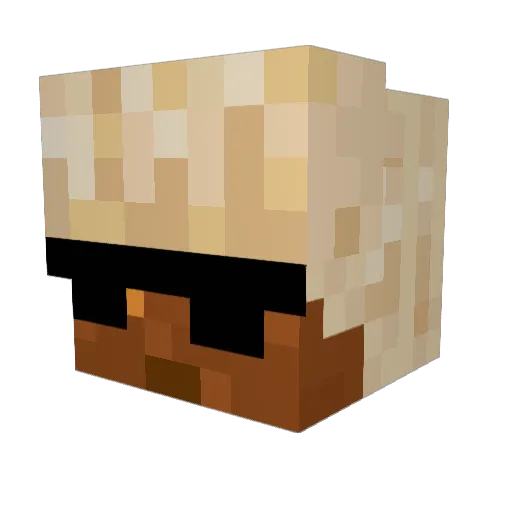 samykel Minecraft avatar head, 3D render