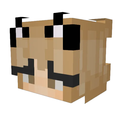 samzidat Minecraft avatar head, 3D render