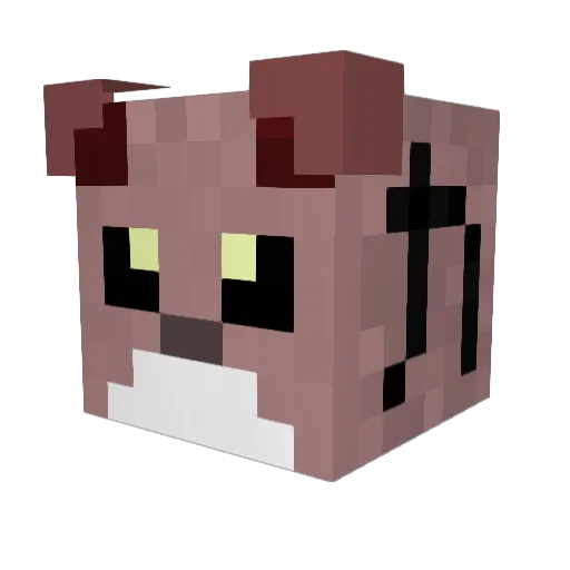 san_tako Minecraft avatar head, 3D render