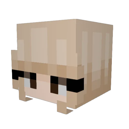 sanafofinha Minecraft avatar head, 3D render