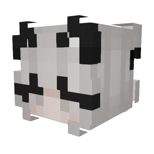 sananamaa Minecraft avatar head, 3D render