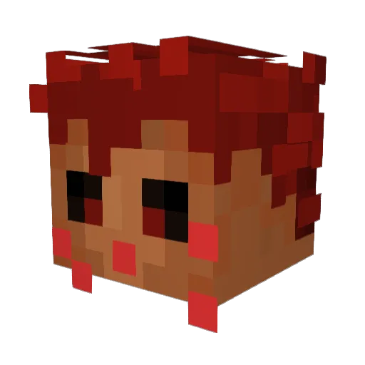 sanches Minecraft avatar head, 3D render