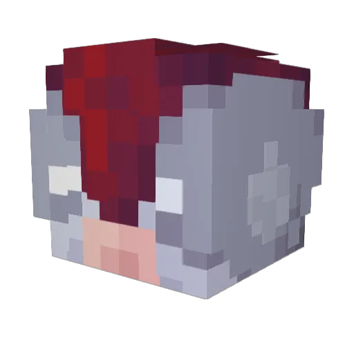 sanctvs Minecraft avatar head, 3D render