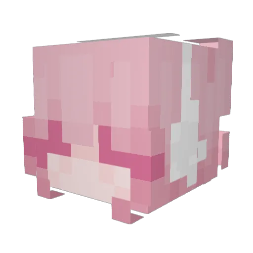 sandelf1704 Minecraft avatar head, 3D render