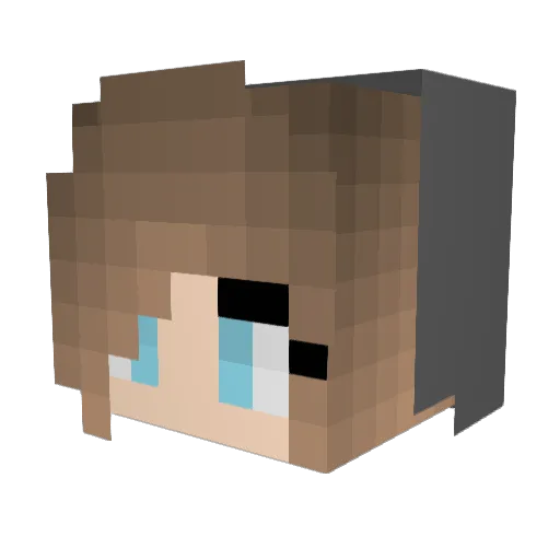 sandell1 Minecraft avatar head, 3D render