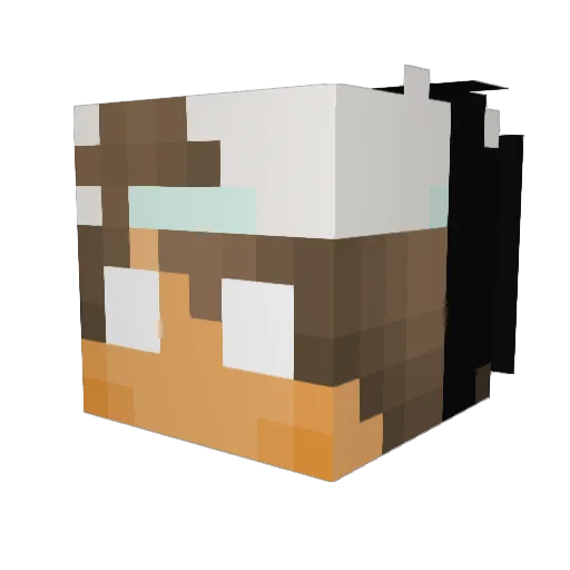 sandertje04 Minecraft avatar head, 3D render