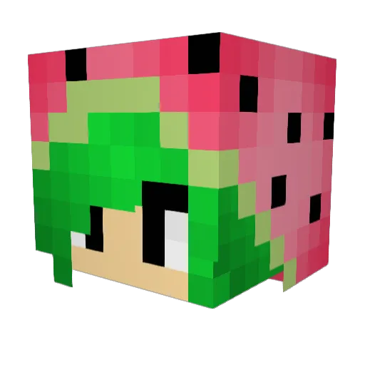 sandia123456 Minecraft avatar head, 3D render