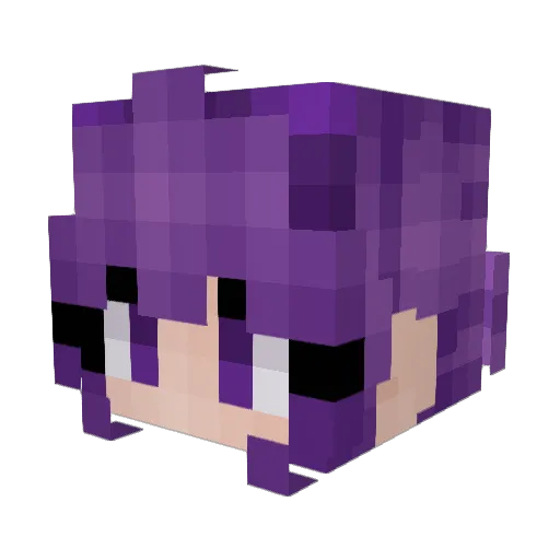 sandnusser Minecraft avatar head, 3D render