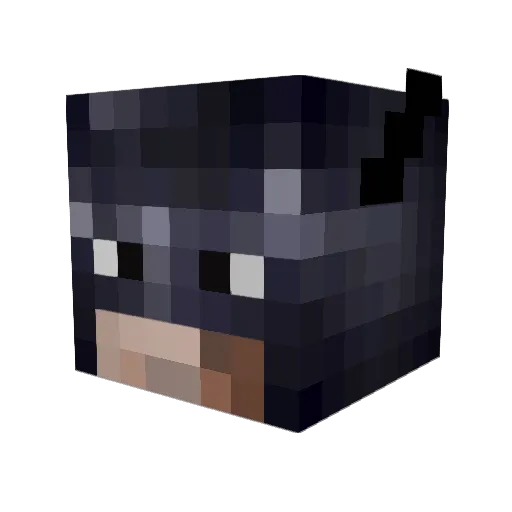 sandolino6 Minecraft avatar head, 3D render