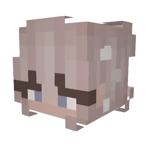 sandqueen420 Minecraft avatar head, 3D render